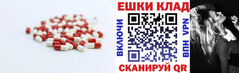 Купить закладки  Искитим  Ecstasy Punisher 