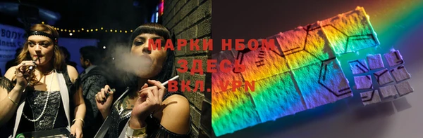 стафф Касимов