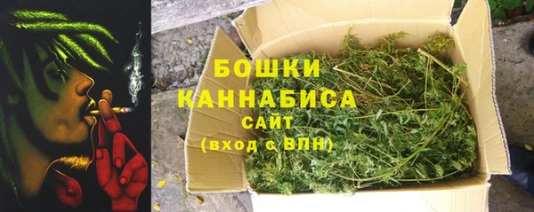 стафф Касимов