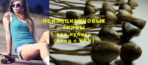 стафф Касимов