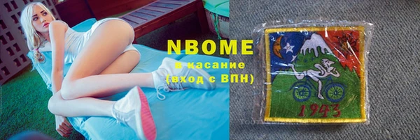 стафф Касимов